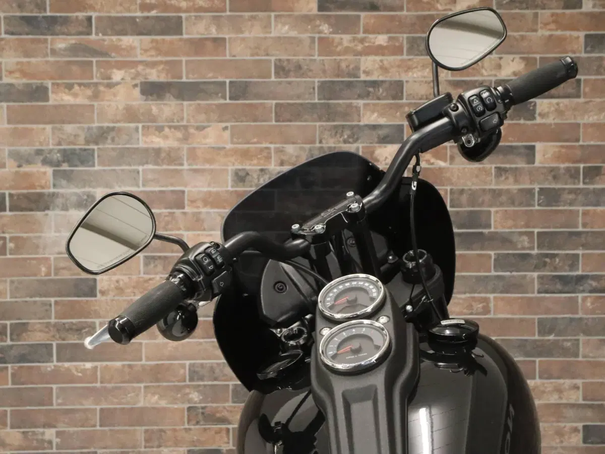 Harley-Davidson 114 Low Rider S (2021) - FXLRS (14)
