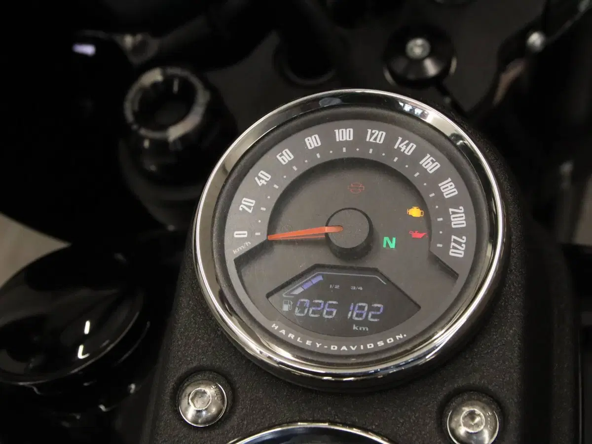 Harley-Davidson 114 Low Rider S (2021) - FXLRS (15)