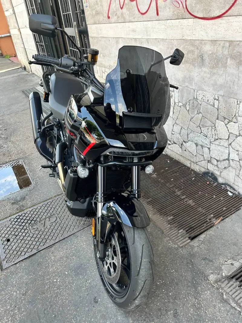 Harley-Davidson Pan America 1250 ST (2025 - 26) (4)