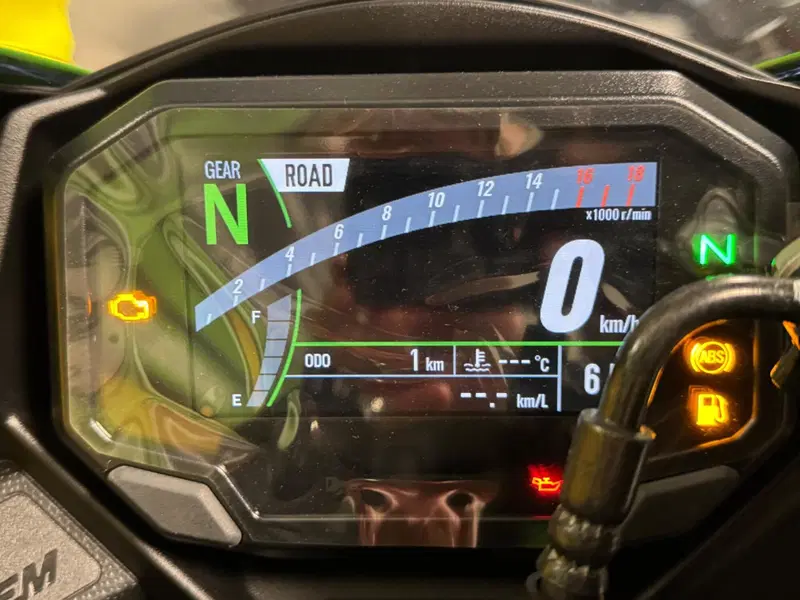 Kawasaki Ninja ZX-4RR (2024 - 26) (2)