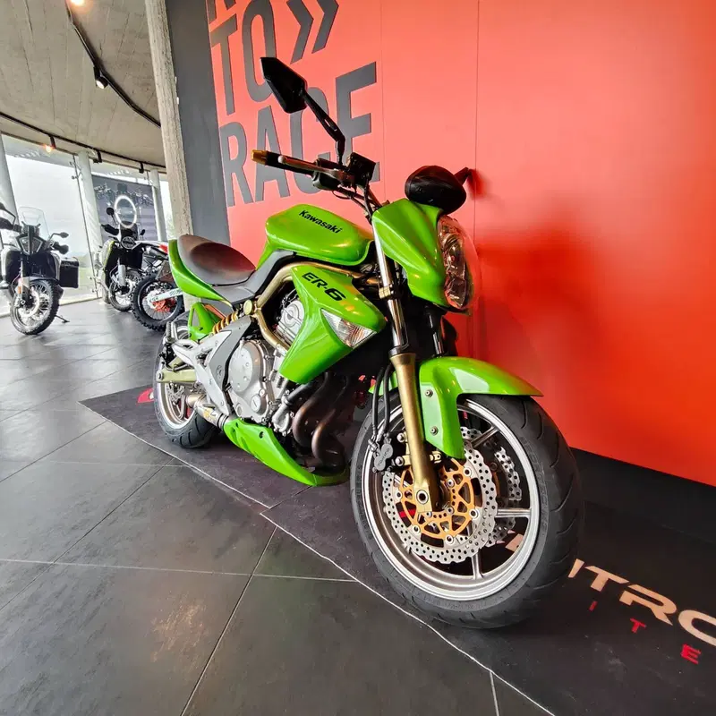 Kawasaki ER-6N (2006 - 09) (6)