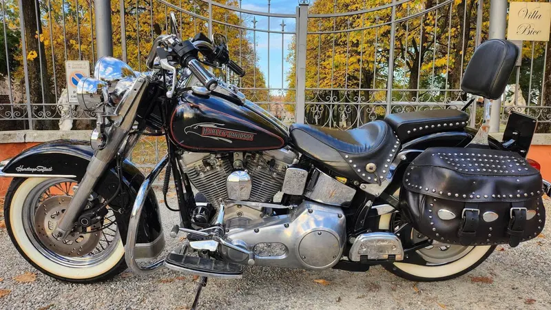 Harley-Davidson Heritage Softail Classic (3)