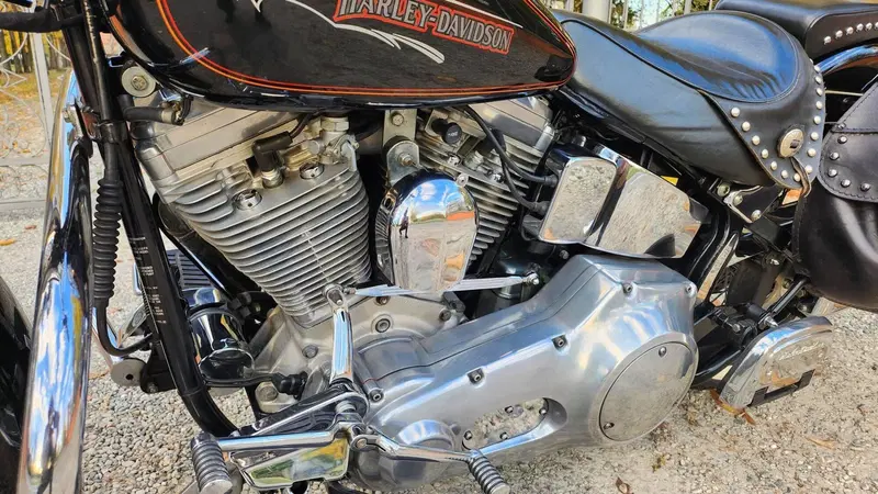 Harley-Davidson Heritage Softail Classic (4)
