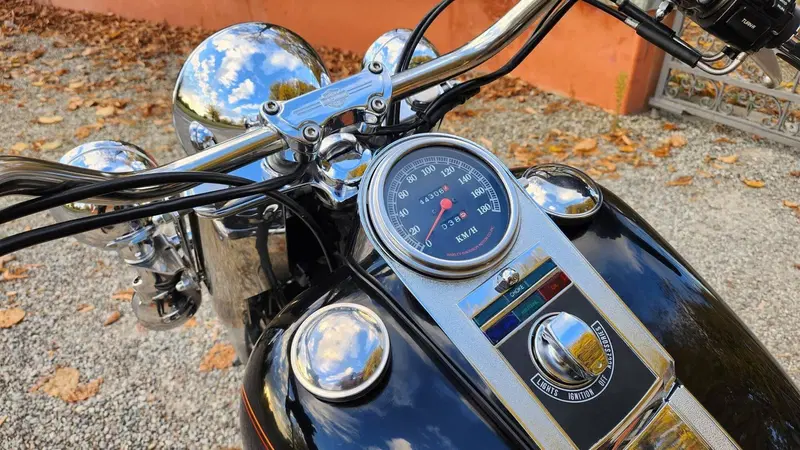 Harley-Davidson Heritage Softail Classic (8)