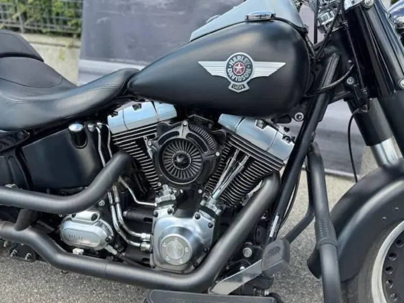 Harley-Davidson 1584 Fat Boy (2008 - 10) - FLSTF (2)