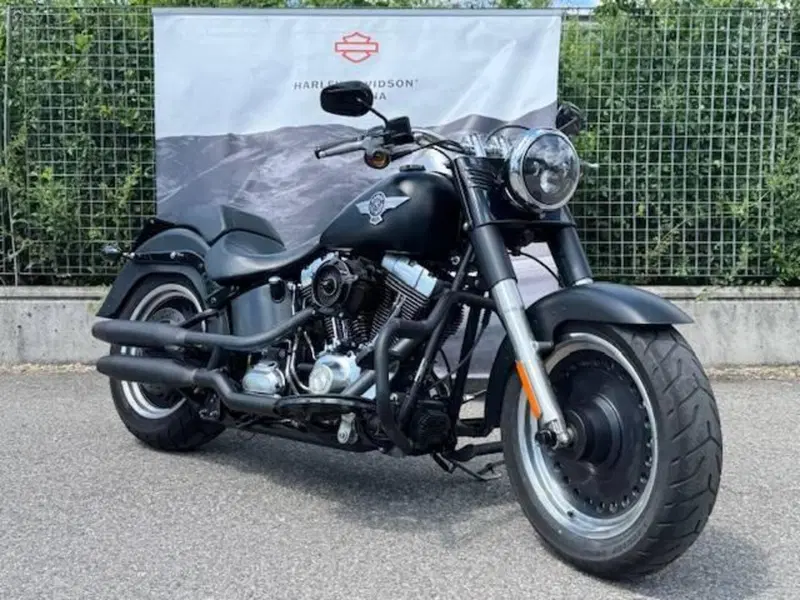 Harley-Davidson 1584 Fat Boy (2008 - 10) - FLSTF (4)