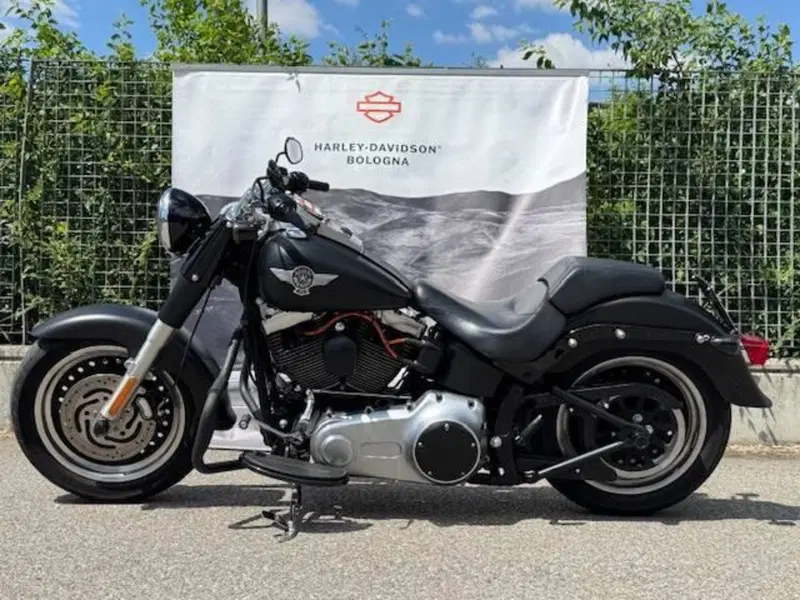 Harley-Davidson 1584 Fat Boy (2008 - 10) - FLSTF (6)