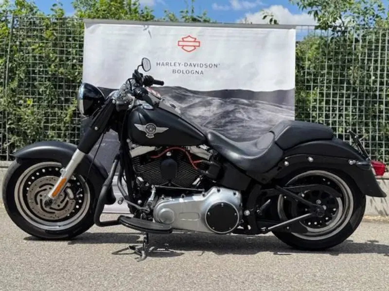 Harley-Davidson 1584 Fat Boy (2008 - 10) - FLSTF (7)