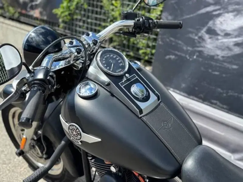 Harley-Davidson 1584 Fat Boy (2008 - 10) - FLSTF (9)