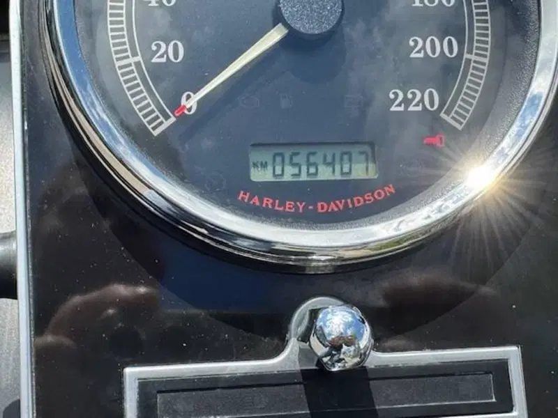 Harley-Davidson 1584 Fat Boy (2008 - 10) - FLSTF (10)