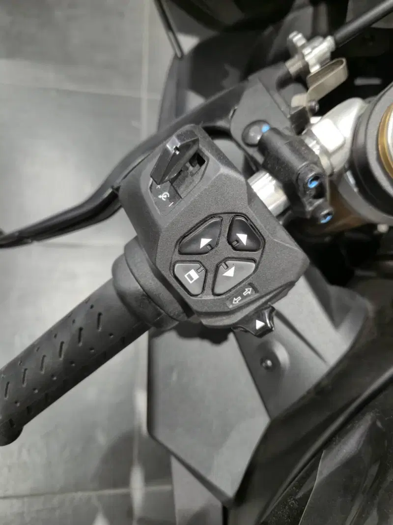 Aprilia RSV4 1100 (2025 - 26) (19)