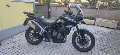 Triumph Tiger 900 GT Pro (2020 - 23) usata
