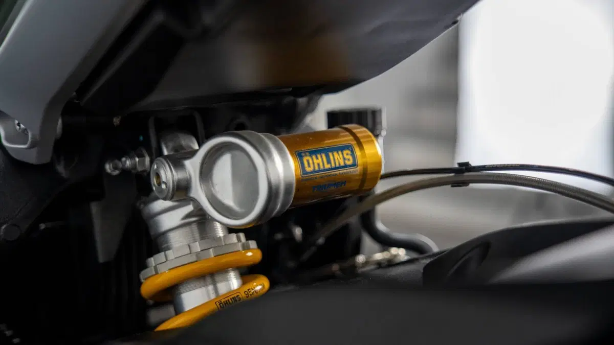 Triumph Street Triple 765 Moto2 Edition (2023 - 24) (17)