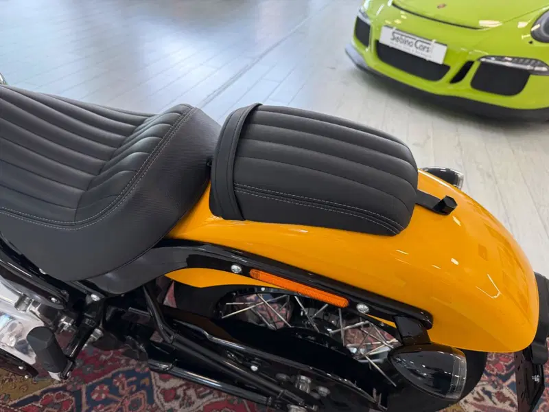 Harley-Davidson Street Bob 117 (2025 - 26) (10)