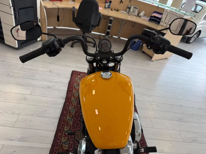 Harley-Davidson Street Bob 117 (2025 - 26) (7)