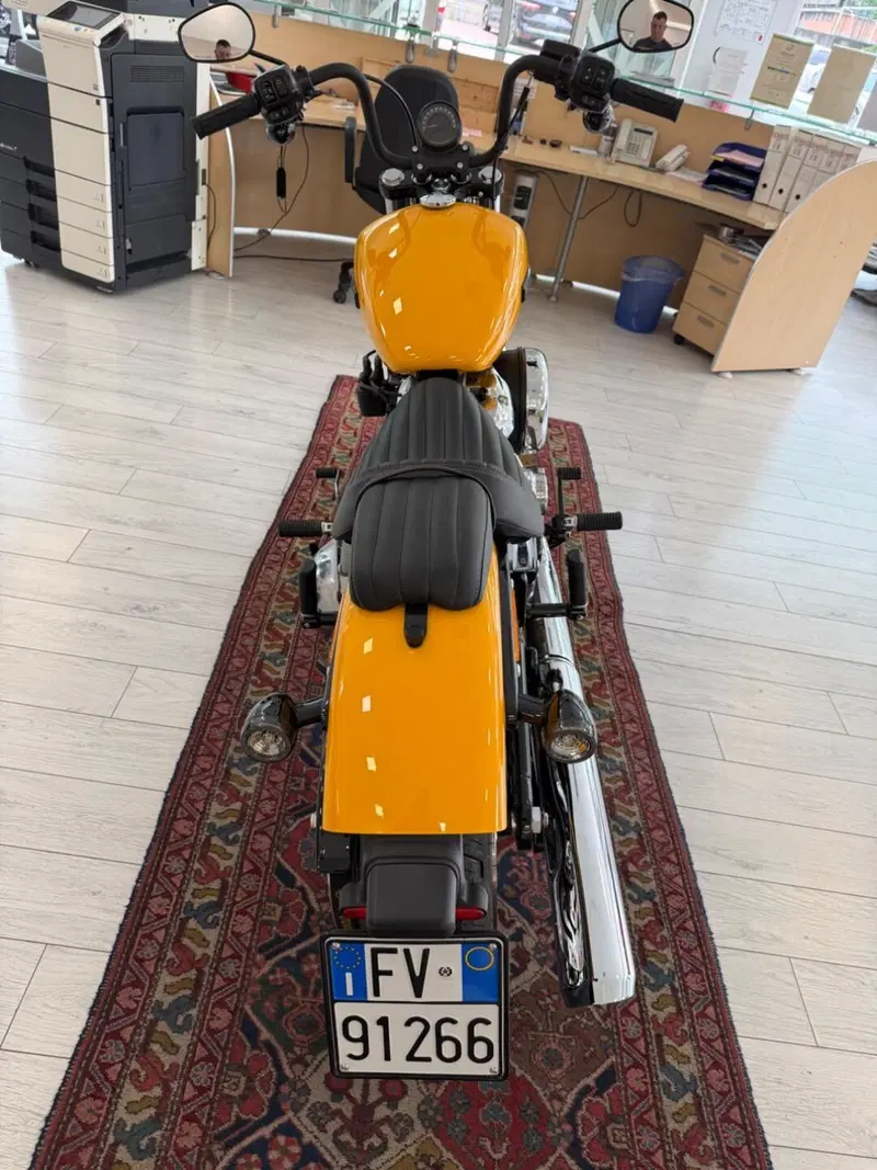 Harley-Davidson Street Bob 117 (2025 - 26) (4)