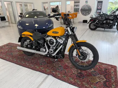 Harley-Davidson Street Bob 117 (2025 - 26) usata