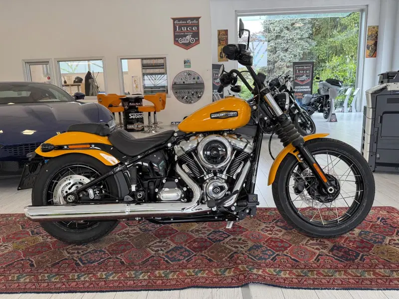 Harley-Davidson Street Bob 117 (2025 - 26) (2)