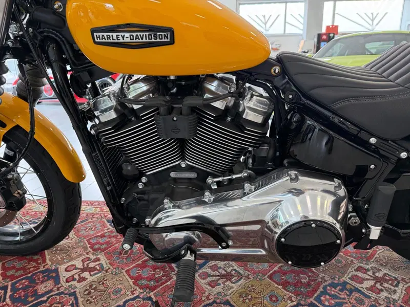 Harley-Davidson Street Bob 117 (2025 - 26) (6)