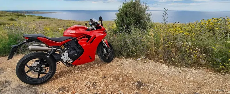 Ducati SuperSport 950 (2021 - 24) (3)