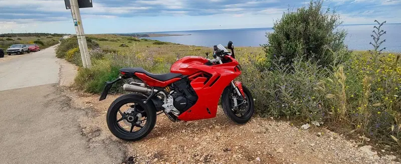 Ducati SuperSport 950 (2021 - 24) (4)