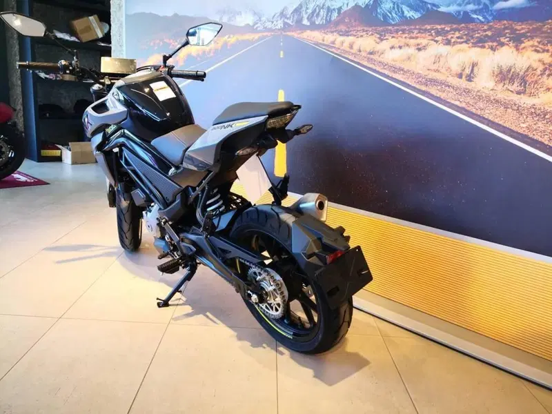 CFMOTO 300NK (2021 - 26) (8)