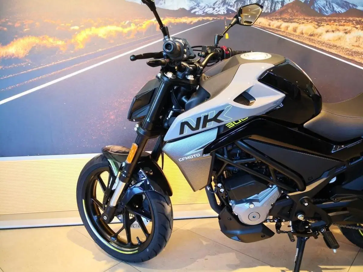CFMOTO 300NK (2021 - 26) (10)