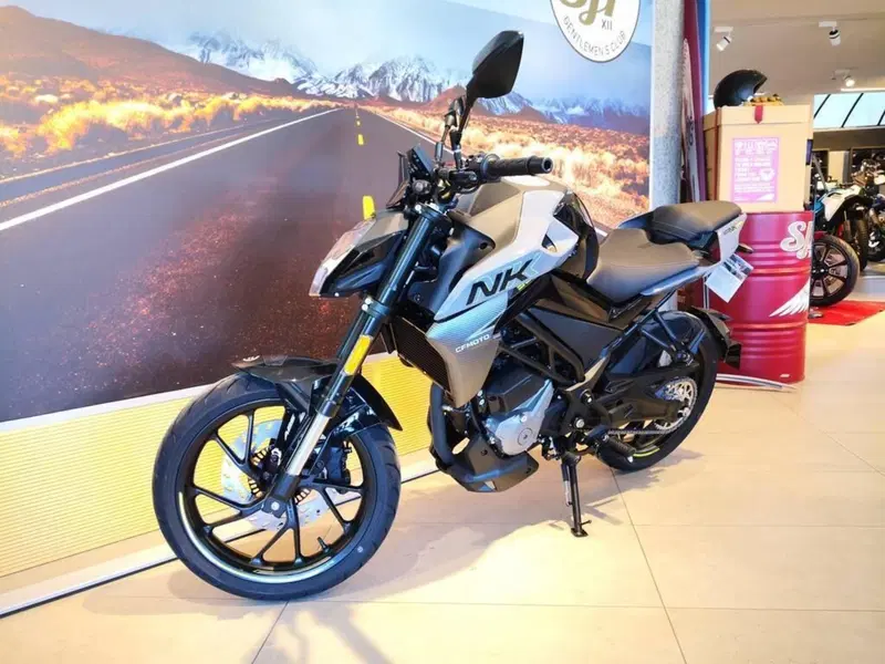 CFMOTO 300NK (2021 - 26) (11)