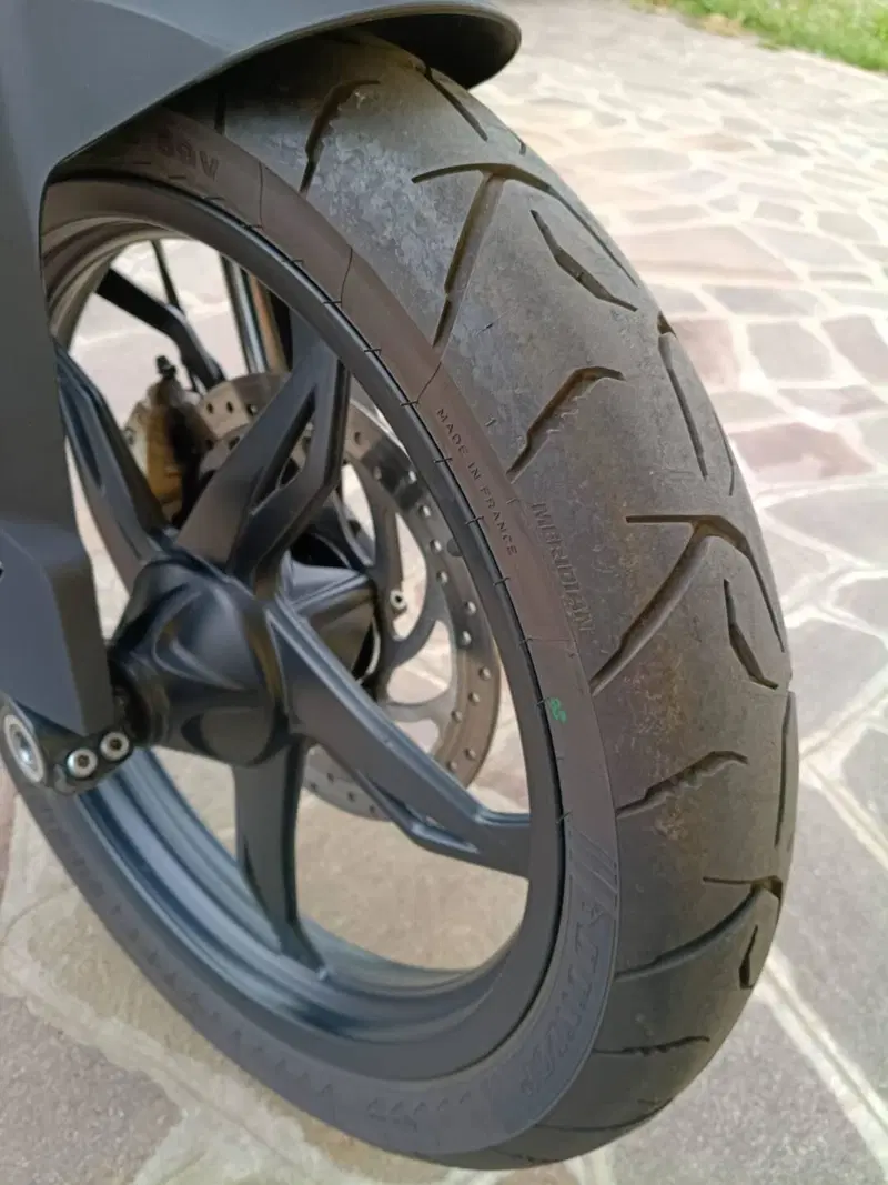 Bmw G 310 GS Edition 40 Years GS (2021) (5)