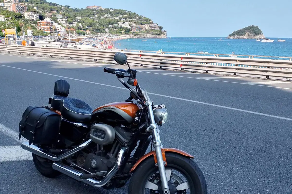 Harley-Davidson 1200 Custom ABS (2014 - 16) - XL 1200C (2)