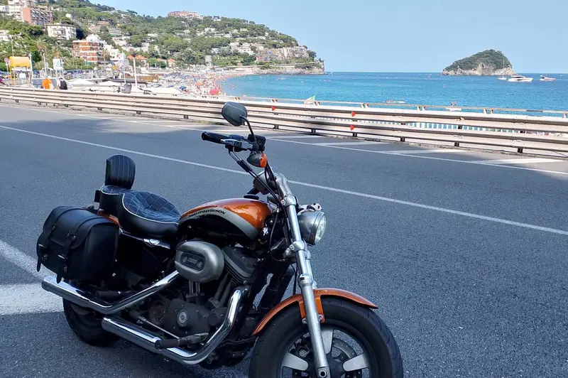 Harley-Davidson 1200 Custom ABS (2014 - 16) - XL 1200C (2)
