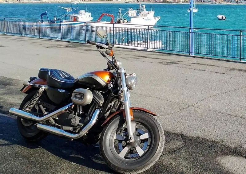 Harley-Davidson 1200 Custom ABS (2014 - 16) - XL 1200C (3)