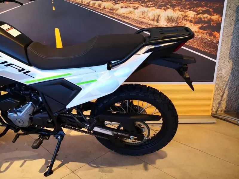 CFMOTO CFLite 250 Dual (2026) (9)