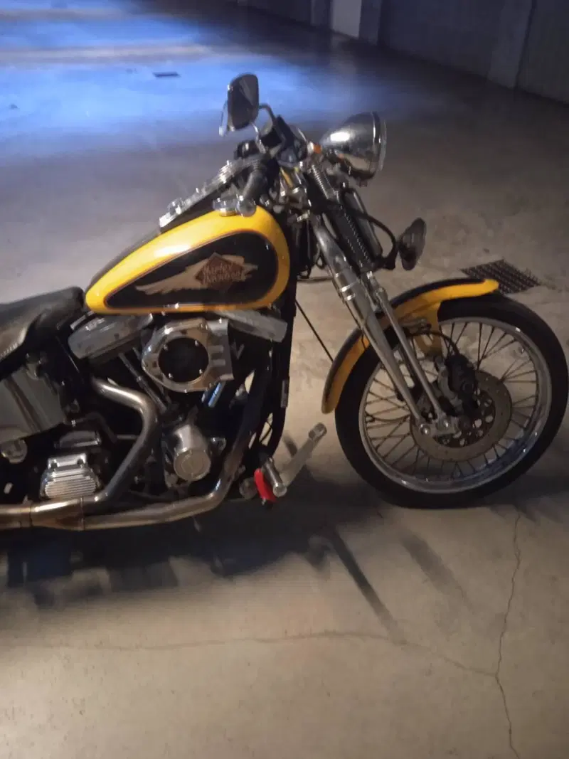 Harley-Davidson 1340 Springer (1990 - 98) - FXSTS (2)
