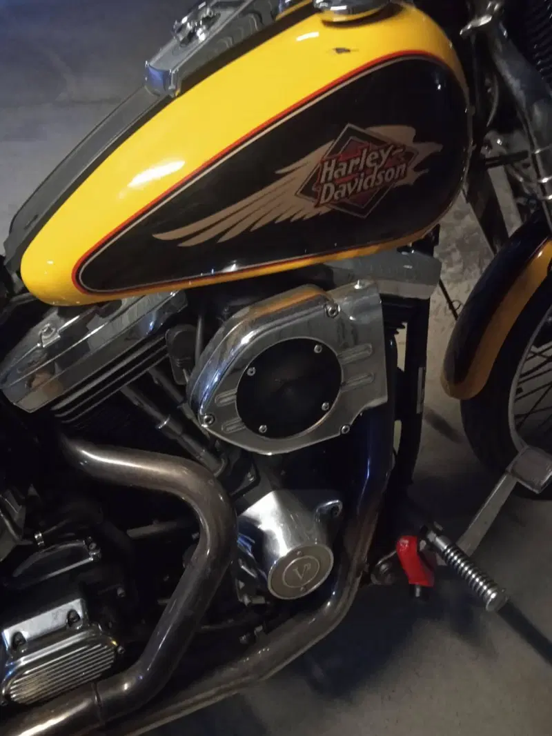 Harley-Davidson 1340 Springer (1990 - 98) - FXSTS (5)