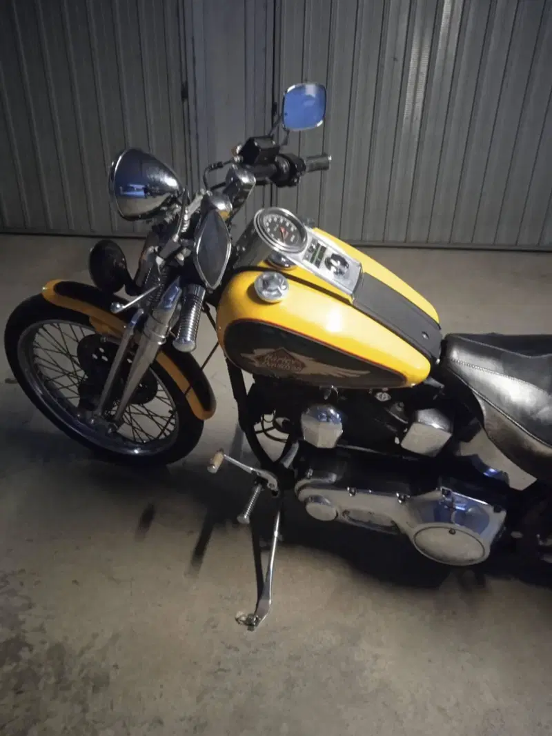 Harley-Davidson 1340 Springer (1990 - 98) - FXSTS (6)