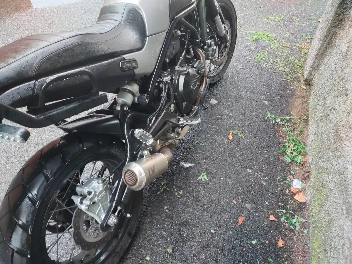 Benelli Leoncino 500 Trail ABS (2017 - 20) (3)