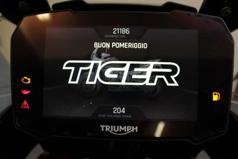 Triumph Tiger 900 GT Aragón Edition (2023 - 24) (3)