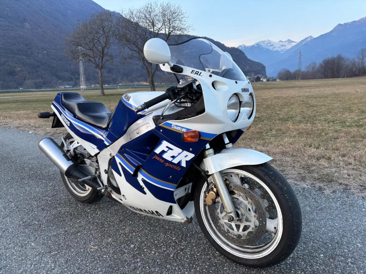 Yamaha Fzr 1000cc Genesis condizioni eccelse  (7)