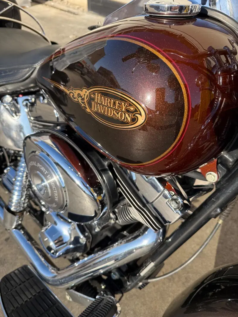 Harley-Davidson 1450 Heritage Springer (2000 - 03) - FLSTS (2)