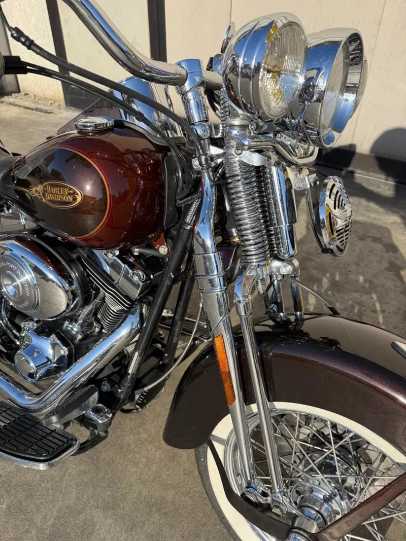 Harley-Davidson 1450 Heritage Springer (2000 - 03) - FLSTS (5)
