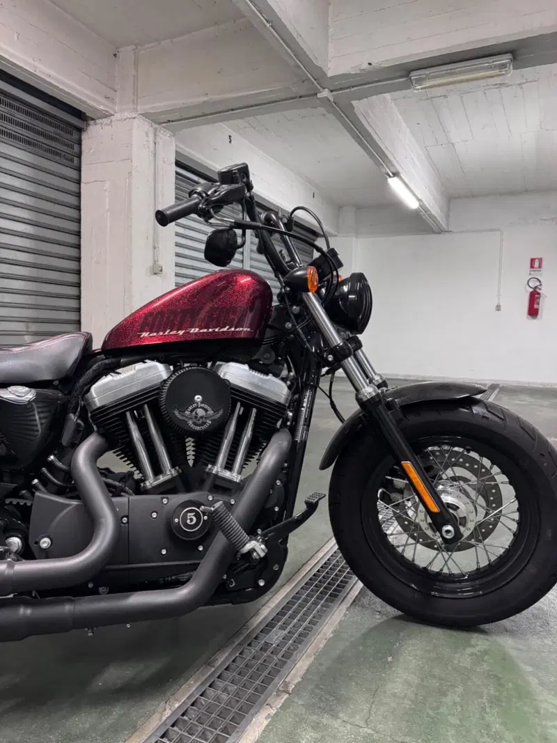 Harley-Davidson 1200 Forty-Eight (2010 - 15) (2)