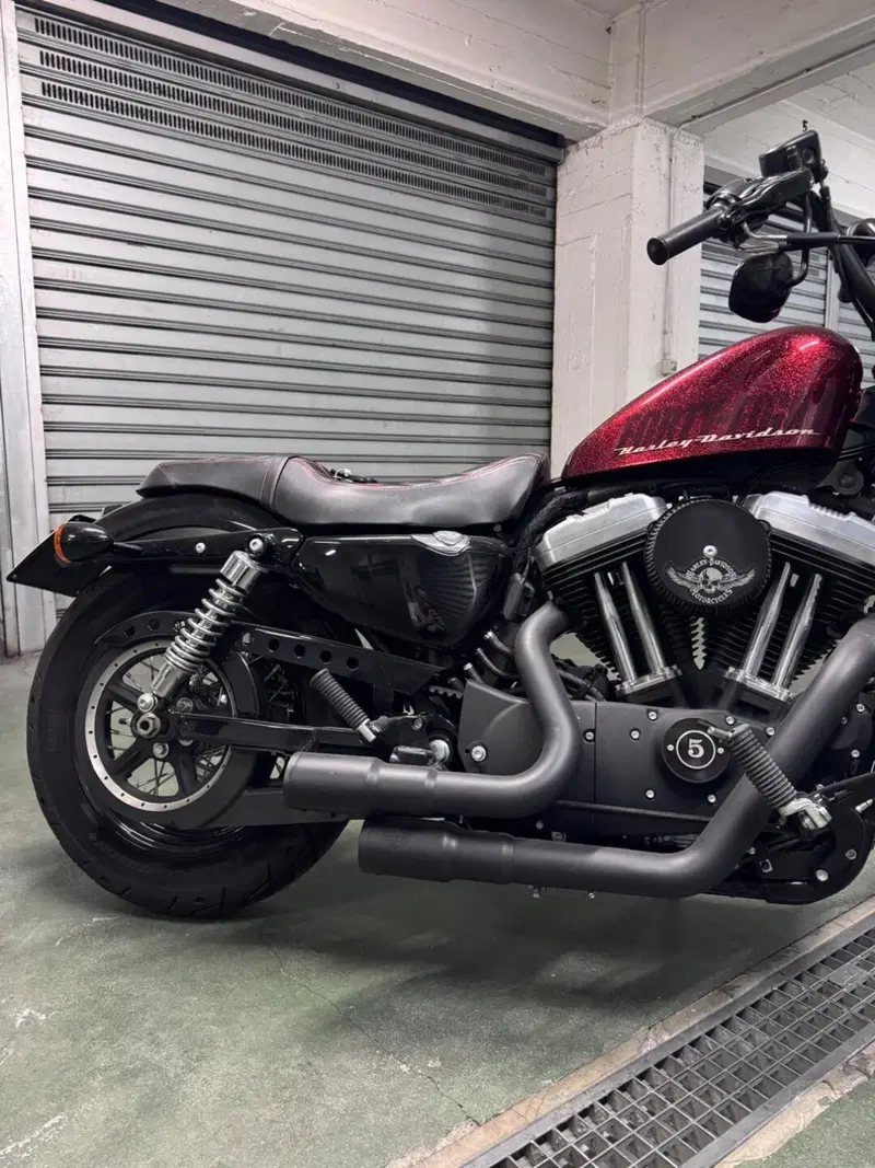 Harley-Davidson 1200 Forty-Eight (2010 - 15) (3)