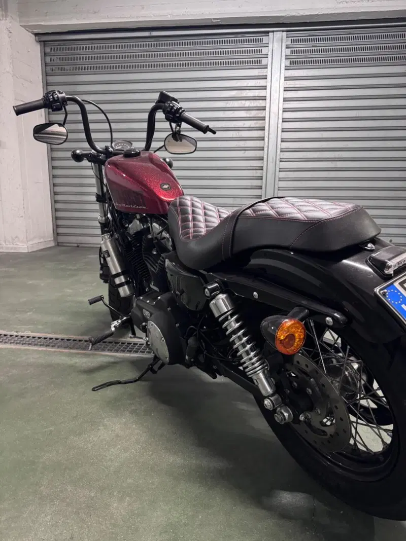 Harley-Davidson 1200 Forty-Eight (2010 - 15) (4)