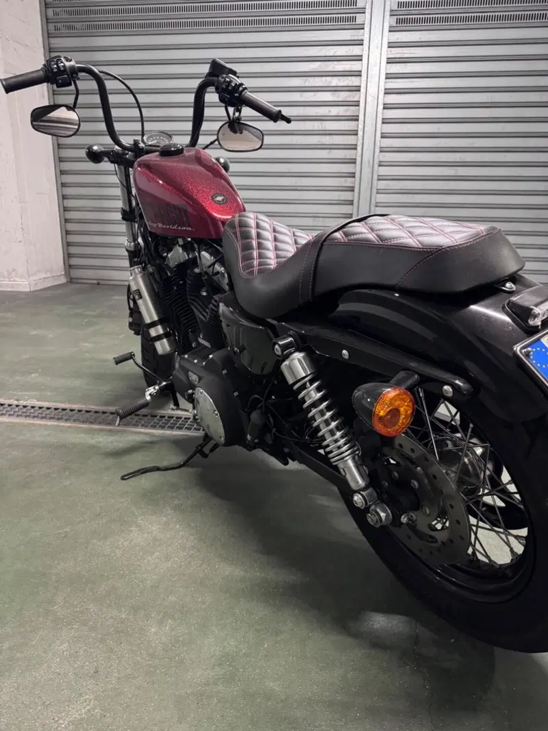 Harley-Davidson 1200 Forty-Eight (2010 - 15) (5)