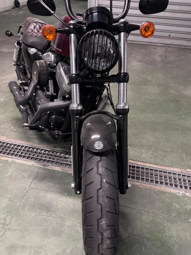 Harley-Davidson 1200 Forty-Eight (2010 - 15) (6)