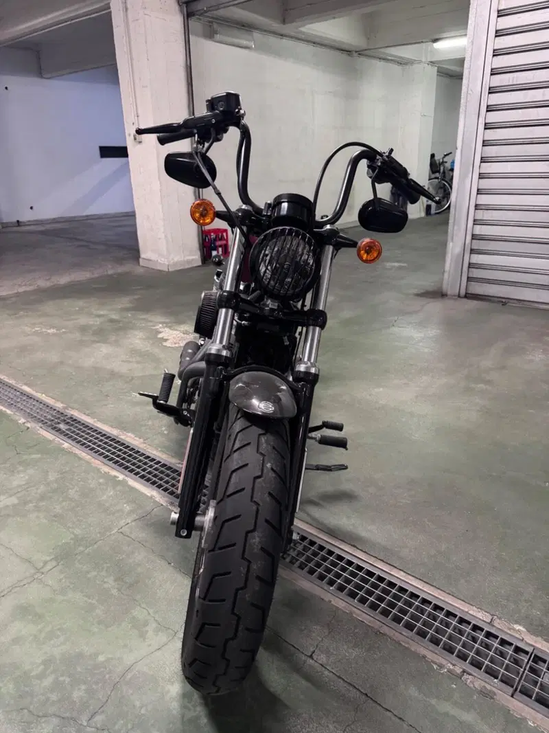 Harley-Davidson 1200 Forty-Eight (2010 - 15) (7)