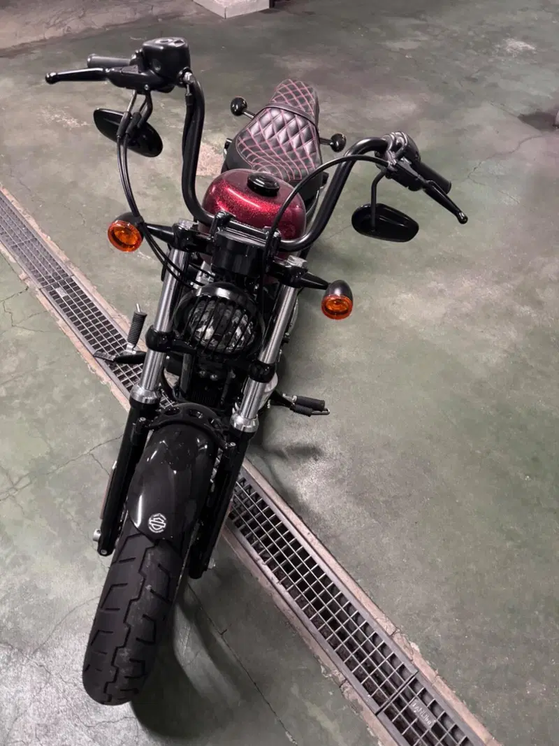 Harley-Davidson 1200 Forty-Eight (2010 - 15) (8)