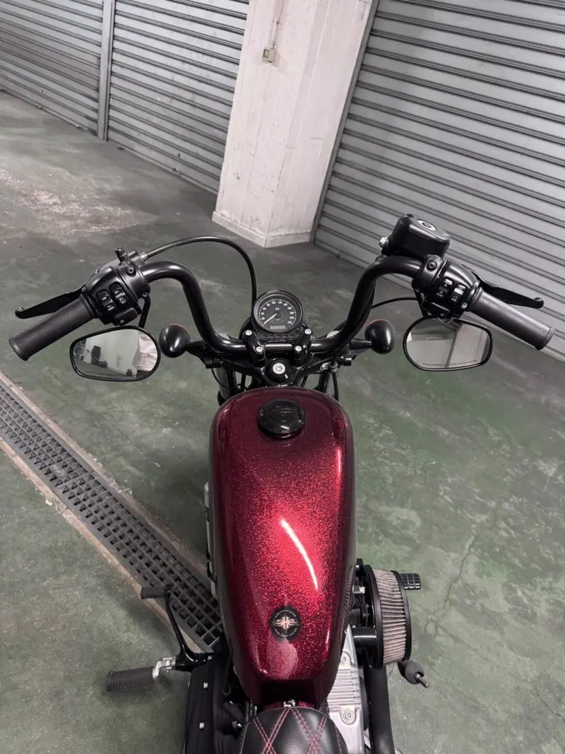 Harley-Davidson 1200 Forty-Eight (2010 - 15) (9)