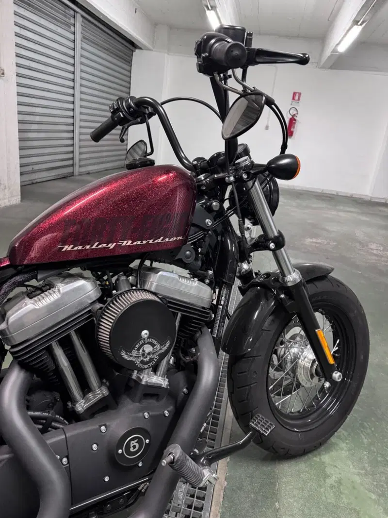 Harley-Davidson 1200 Forty-Eight (2010 - 15) (10)